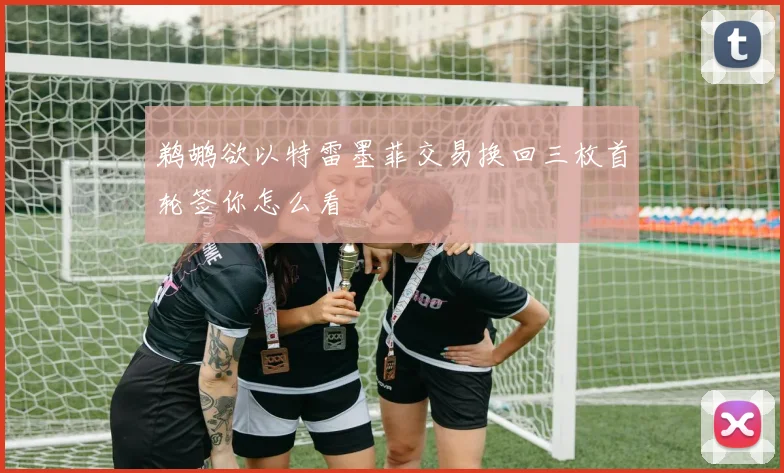 鹈鹕欲以特雷墨菲交易换回三枚首轮签你怎么看