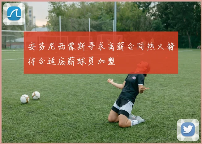 安芬尼西蒙斯寻求高薪合同热火静待合适底薪球员加盟